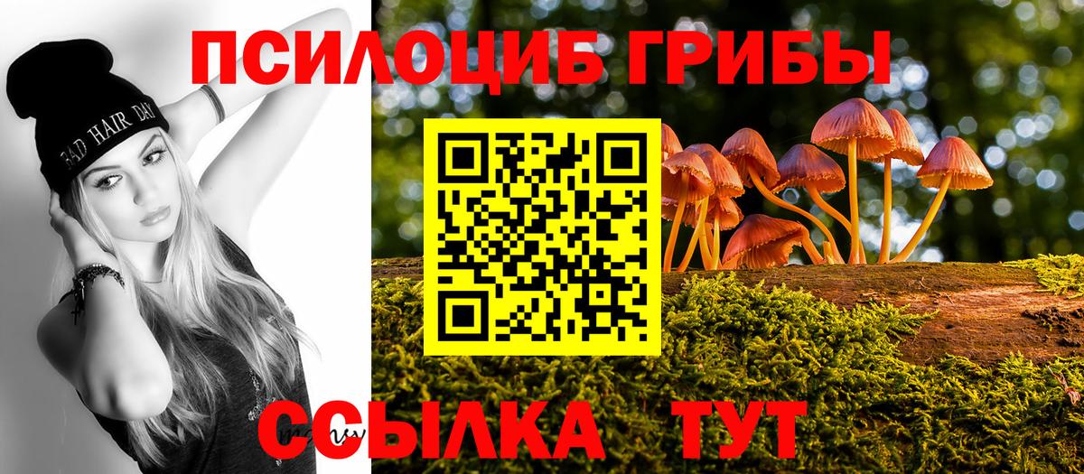Галлюциногенные грибы прущие грибы  Псилоцибиновые грибы GOLDEN TEACHER  Вход с VPN  Ивантеевка 